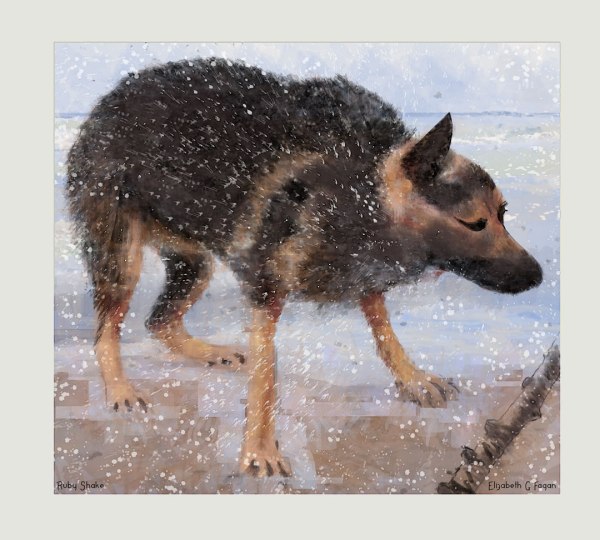 Ruby Shake © 2024 Elizabeth G Fagan