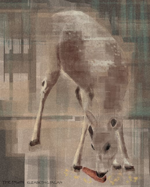 The Fawn © 2025 Elizabeth G Fagan