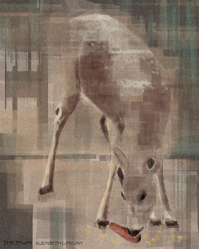 The Fawn © 2025 Elizabeth G Fagan