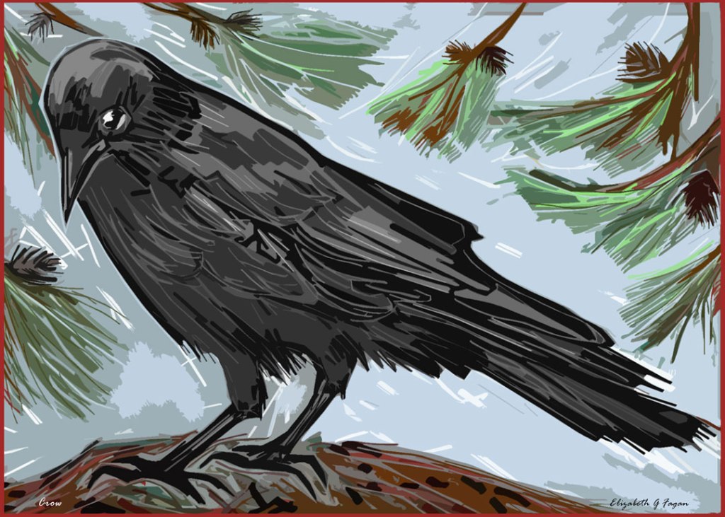Crow © 2025 Elizabeth G Fagan