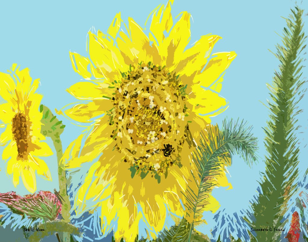 Bee @ Work © 2025 Elizabeth G Fagan