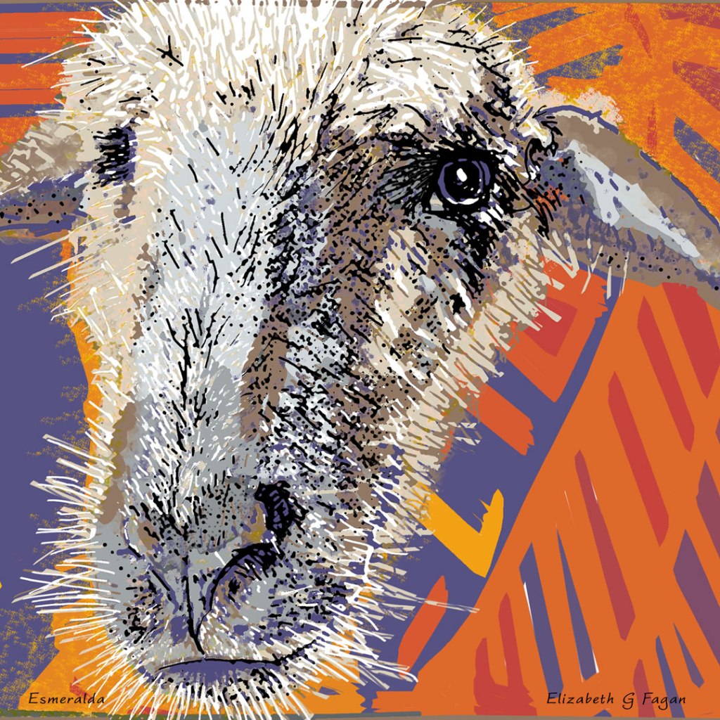 Esmeralda © 2025 Elizabeth G Fagan