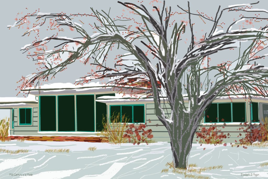 Mid Century a la Mode © 2025 Elizabeth G Fagan