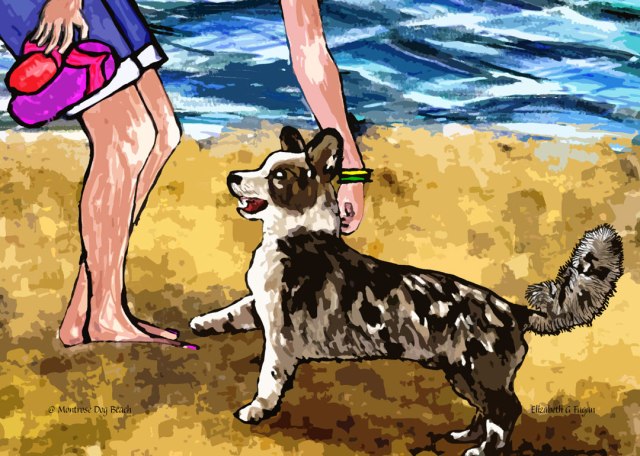 @ Montrose Dog Beach © 2025 Elizabeth G Fagan