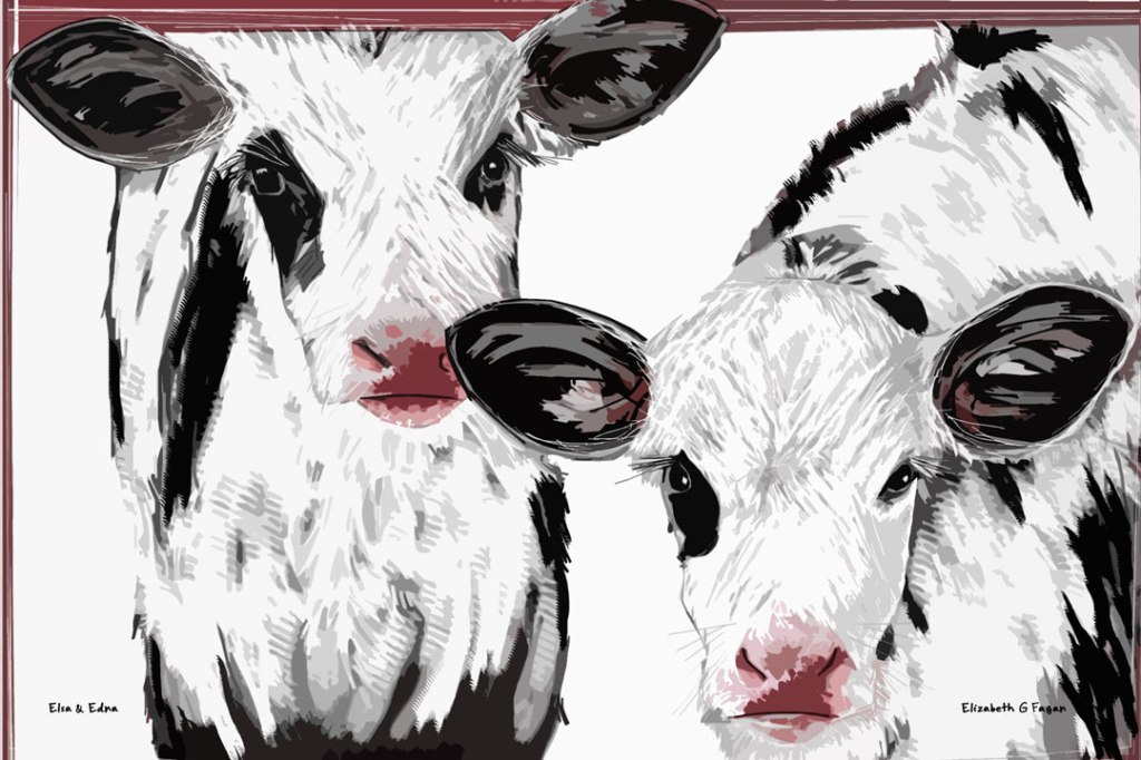 Elsa & Edna © 2025 Elizabeth G Fagan