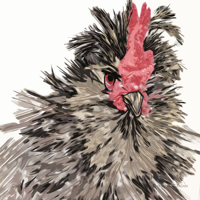 Clyde © 2025 Elizabeth G Fagan