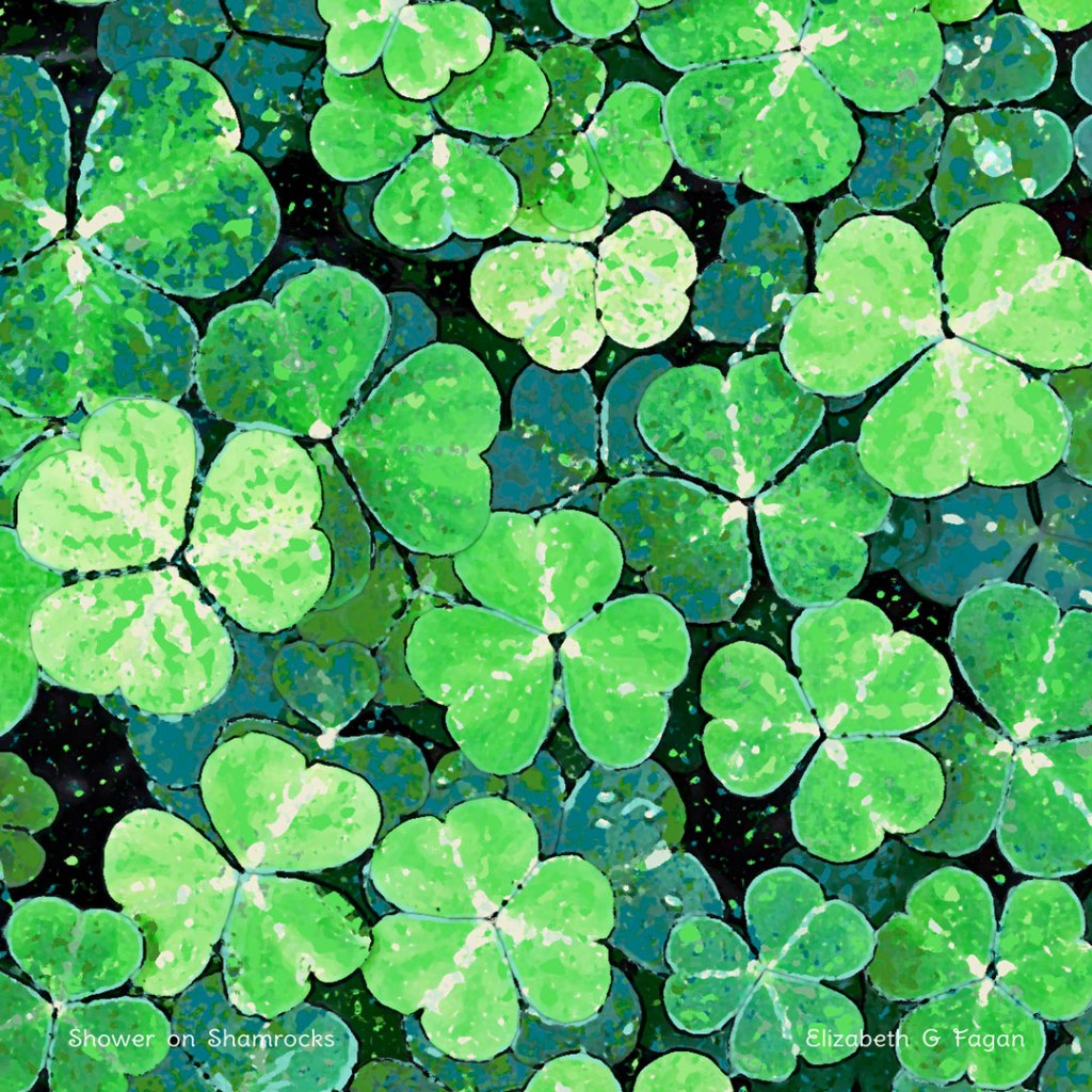 Shower on Shamrocks © 2025 Elizabeth G Fagan